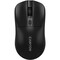 Фото - Мышь беспроводная Canyon OnClick 06 Wireless Black (CNE-CMSW06B) | click.ua