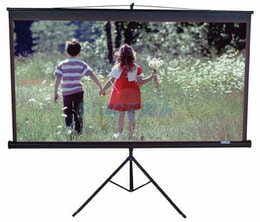 Экран мобильный на треноге 85" Elite Screens (T85NWS1)