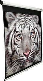 Экран настенный ручной Elite Screens 120" (M120XWV2)