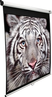 Экран настенный ручной Elite Screens 120" (M120XWV2)