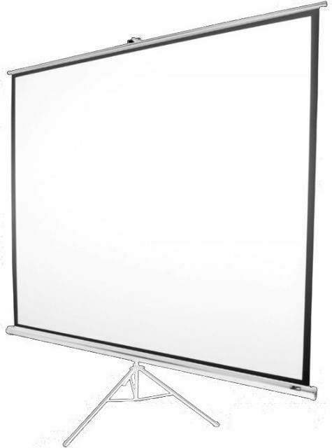 Экран мобильный на треноге 119" Elite Screens (T119NWS1)
