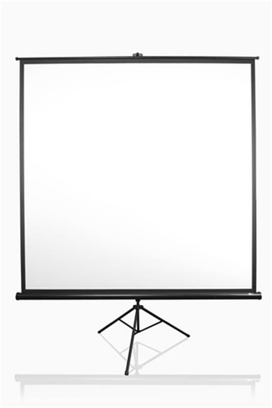 Экран на треноге Elite Screens 99" (177.8x177.8, 1:1) (T99UWS1)