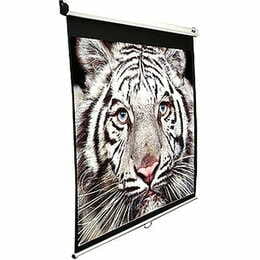 Экран настенный ручной Elite Screens 84" (170.2x127, 4:3) (M84NWV)