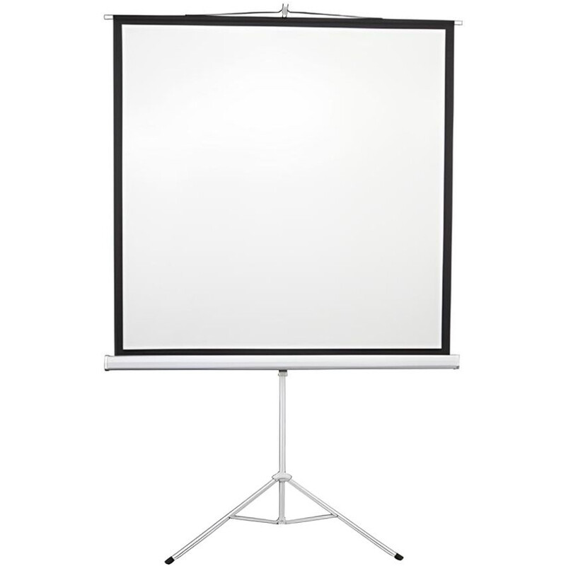 Проекционный экран AGN 135" (240х240, 1:1) (AGNT135S)