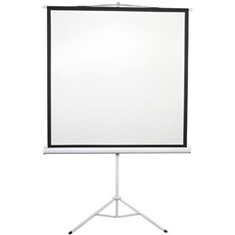 Проекционный экран AGN 135" (240х240, 1:1) (AGNT135S)