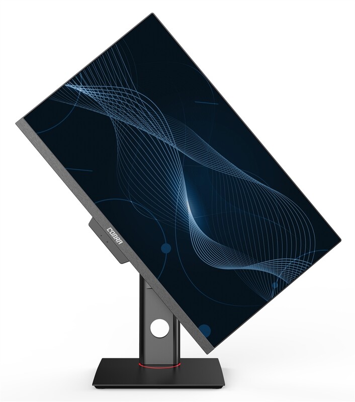 Персональний комп`ютер-моноблок COBRA D24-720P (CA24.HK4PP.G64.8.S4H2.N.U.191) Black