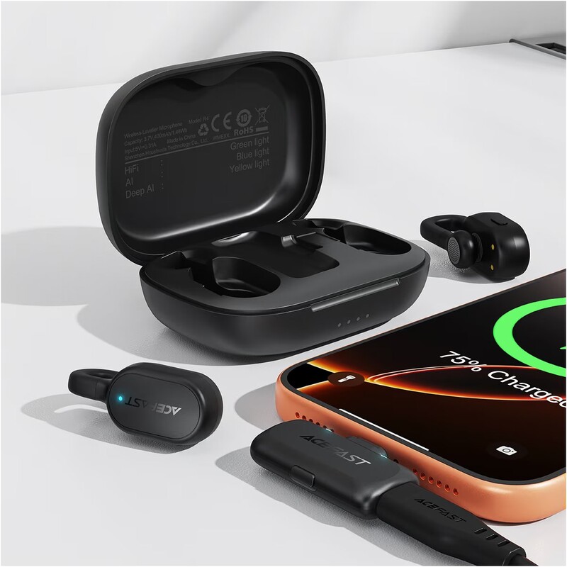 Микрофон Acefast R4 Dual-mic Type-C Black (6974316286448)
