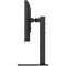Фото - Монітор 23.8" LG 24BA650-B (24BA650-B.ADRZ) IPS Black 100Hz | click.ua