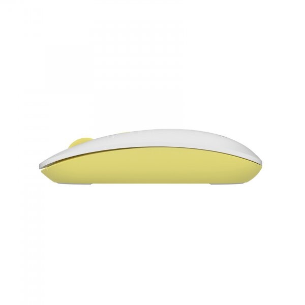 Мышь беспроводная A4Tech FG20 Daisy USB