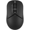 Фото - Миша бездротова A4Tech FB12 Black USB | click.ua