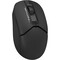 Фото - Миша бездротова A4Tech FB12 Black USB | click.ua