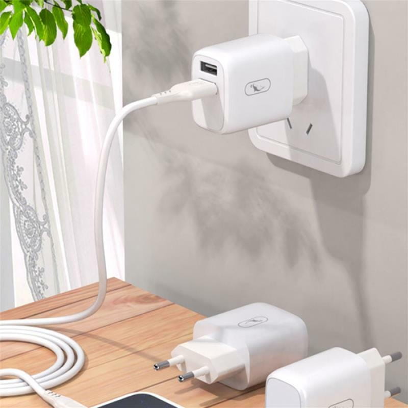 Зарядное устройство SkyDolphin SC22EB (2USB, 2.1A) White (MZP-000161)