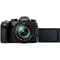 Фото - Panasonic Lumix DMC-FZ1000 II (DC-FZ10002EE) &lt;укр&gt; | click.ua