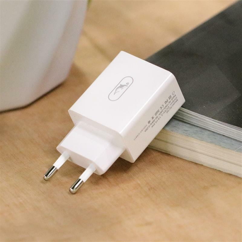 Зарядное устройство SkyDolphin SC30V (2USB, 2.1A) White (MZP-000114) + кабель microUSB