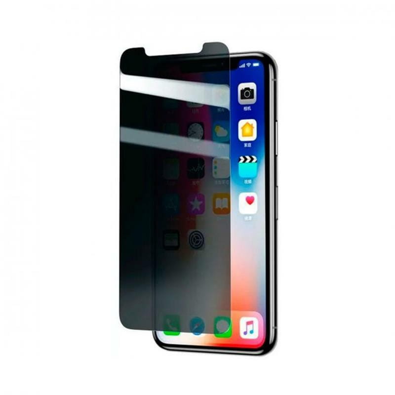 Защитное стекло Baseus Full-glass Anti-peeping для Apple iPhone 11 Pro Max/XS Max, 0.3мм (SGAPIPH65-LK02)