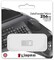Фото - Флеш-накопичувач USB3.2 256GB Kingston DataTraveler Micro (DTMC3G2/256GB) | click.ua