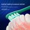 Фото - Умная зубная электрощетка Oclean X Pro Mist Green (OLED) (Международная версия) (6970810551471) | click.ua