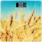 Фото - Ваги підлогові Ardesto SCB-965WHEAT | click.ua
