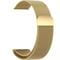Фото - Ремінець BeCover Milanese Style для Xiaomi Amazfit Bip (20mm) Lite/Bip S Lite/GTR 42mm/GTS/TicWatch S2/TicWatch E/GTS 3/GTS 2 mini Gold (707682) | click.ua