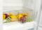 Фото - Холодильник Snaige RF32SM-S0002F | click.ua