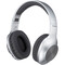 Фото - Bluetooth-гарнитура Panasonic RB-HX220BEE-S Silver | click.ua