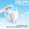 Фото - Умная зубная электрощетка Oclean Kids Electric Toothbrush Pink (6970810552409) | click.ua