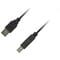 Фото - Кабель Piko USB - USB Type-B V 2.0 (M/M), 1.8 м, черный (1283126474033) | click.ua