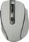 Фото - Мышь беспроводная Defender Safari MM-675 (52677) Beige USB | click.ua