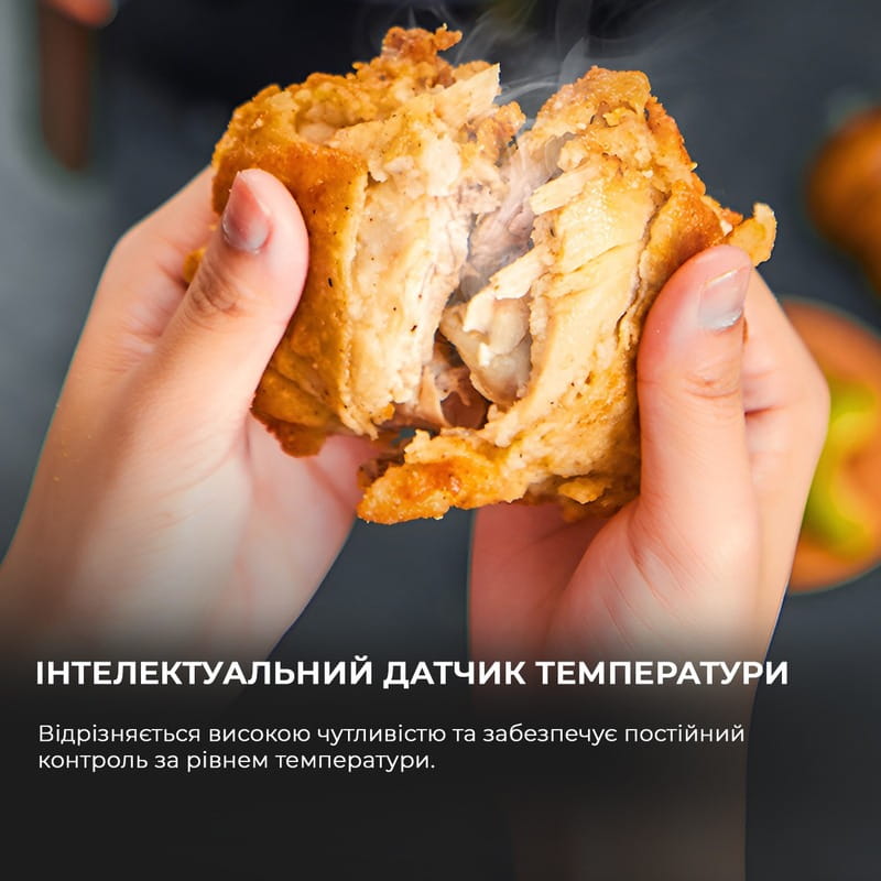 Мультипечь Deerma Air Fryer KZ100 (DEM-KZ100)