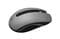 Фото - Миша бездротова 2E MF217 WL Gray (2E-MF217WC) | click.ua