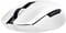 Фото - Мышь беспроводная Razer Orochi V2 Wireless White (RZ01-03730400-R3G1) | click.ua