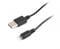 Фото - Кабель Cablexpert USB - Lightning (M/M), 1 м, Black (CC-USB2-AMLM-1M) | click.ua