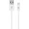 Фото - Кабель Cablexpert USB - USB Type-C V 2.0 (M/M), 2 м, білий (CC-USB2P-AMCM-2M-W) | click.ua