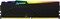 Фото - Модуль пам`яті DDR5 32GB/5200 Kingston Fury Beast RGB Black (KF552C40BBA-32) | click.ua