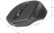Фото - Миша бездротова Defender Datum MB-345 Black (52345) | click.ua