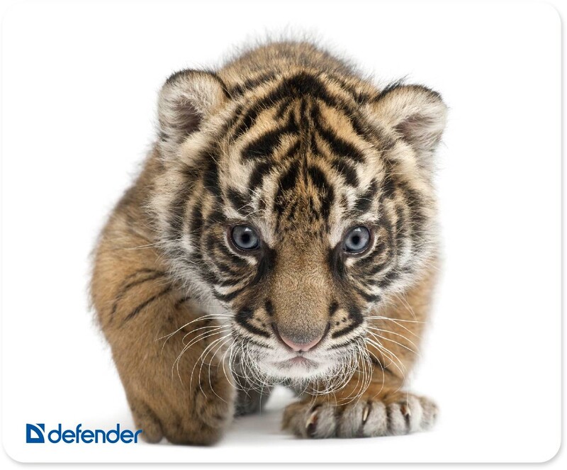 Килимок для миші Defender Silk (50706) 10 видiв
