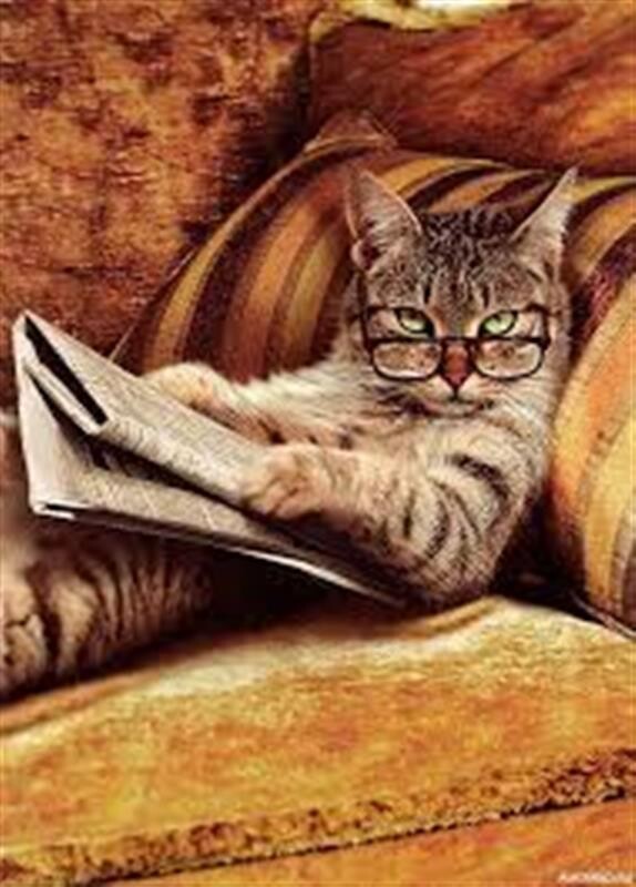 Патч-корд Digitus (DK-1531-005/G) cat.5e, SF-UTP, 0.5м, AWG 26/7, зелений