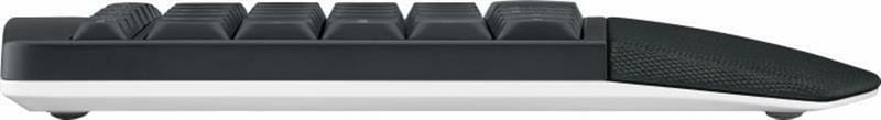 Комплект (клавиатура, мышь) беспроводной Logitech MK850 Black (920-008226)