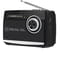 Фото - Радиоприемник REAL-EL X-510 Black | click.ua