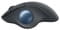 Фото - Миша бездротова Logitech Ergo M575 Mouse Graphite (910-006221) | click.ua
