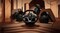 Фото - Руль и педали Thrustmaster для PC/XBOX S|X /Xbox One T248X (4460182) | click.ua