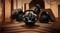 Фото - Кермо і педалі Thrustmaster для PC/XBOX series S|X /Xbox One T248X (4460182) | click.ua