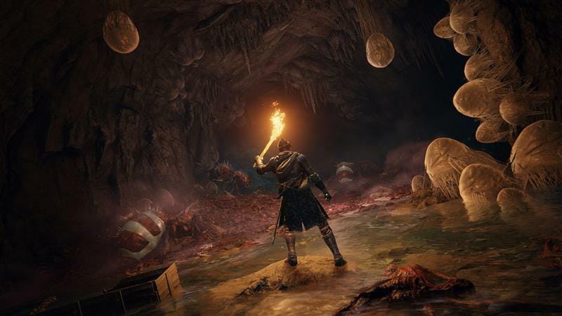 Игра Elden Ring для Sony PlayStation 4, Blu-ray (3391892006667)