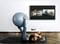 Фото - Телевизор Samsung QE43LS03BAUXUA | click.ua