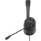 Фото - Гарнітура A4Tech FH100 Stone Black | click.ua