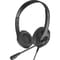 Фото - Гарнітура A4Tech FH100U Stone Black | click.ua