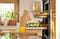 Фото - Духова шафа Gorenje BOS6747A01X | click.ua