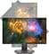Фото - Монитор DELL 24.5" S2522HG (210-BBBI) IPS Silver/Black 240Hz | click.ua