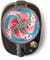 Фото - Блендер Philips HR3770/00 | click.ua