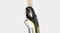 Фото - Пылесос Karcher VC 5 Premium (1.349-200.0) | click.ua